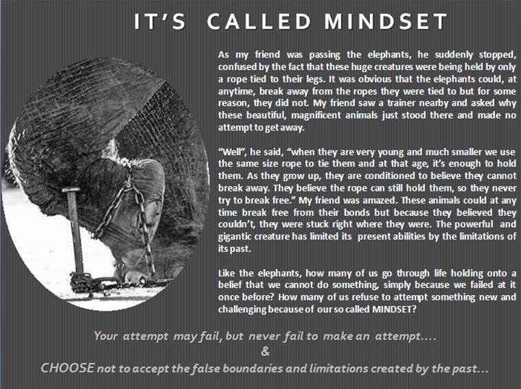 its-called-mindset-elephants